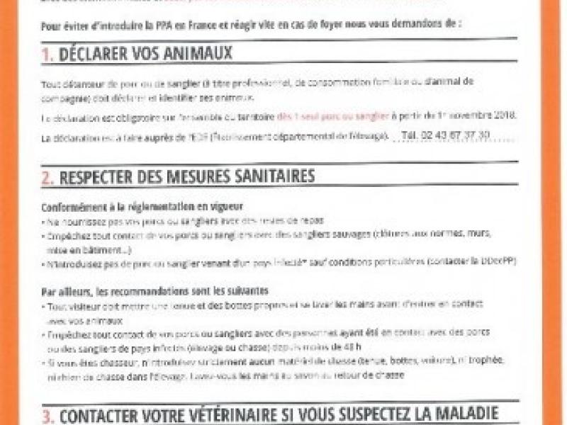 Détenteurs de porcs et de sangliers