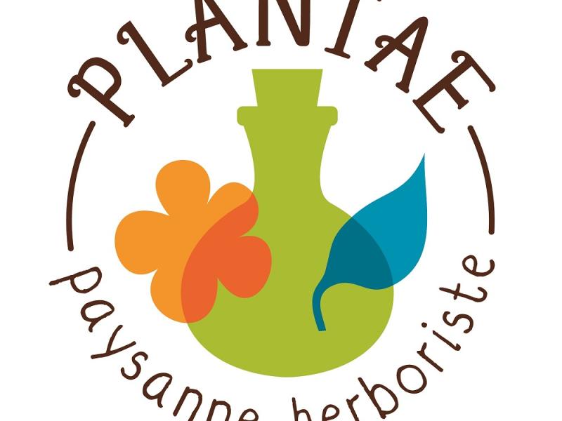 Plantae, herboriste